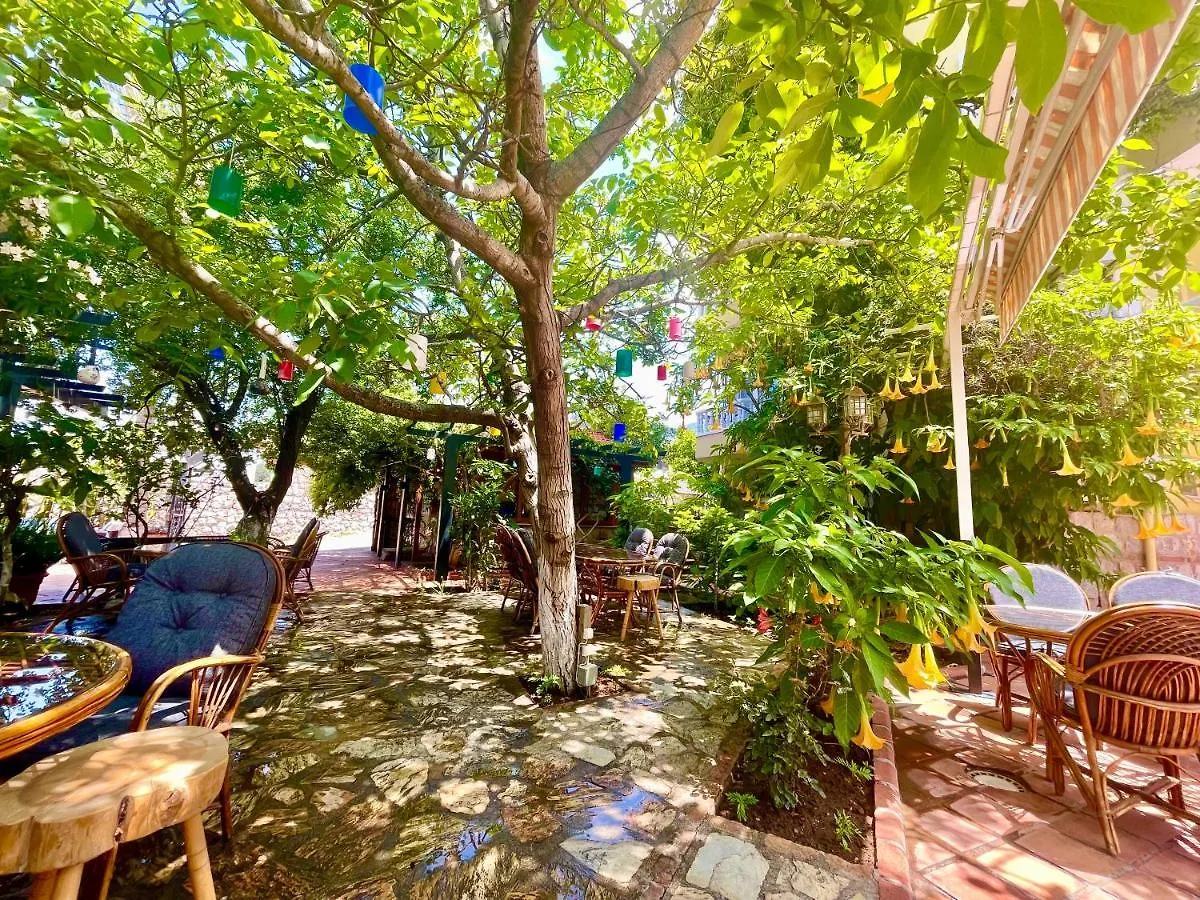 Apartment Mountain Valley Oludeniz